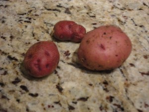 Success Potatoes