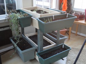 Container Garden