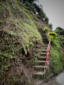 Banaue Stairs
